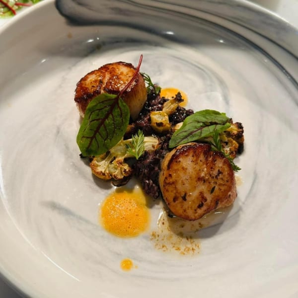 Two seared scallops with black rice, roasted cauliflower, and orange foam on a white plate.