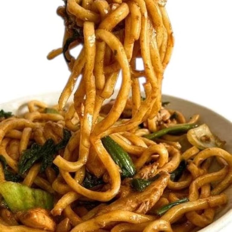 Savor Our Lo Mein